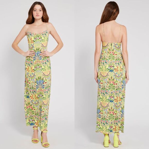 Alice + Olivia Dresses & Skirts - Alice + Olivia $495 Harmony Wildflower Floral Maxi Slip Dress Women's SZ 4